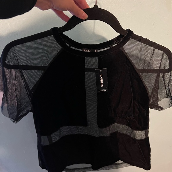 Express velvet sheer crop top - Picture 3 of 4